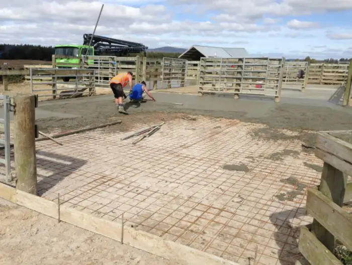 farm concrete Matakana